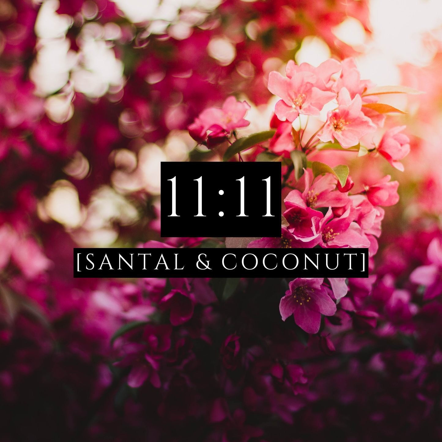 11:11 [Body Lotion] - Santal & Coconut