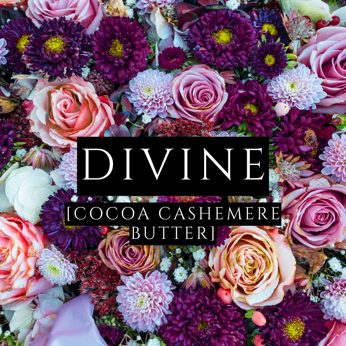 DIVINE [Body Lotion] - Cocoa Butter Cashmere