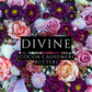 DIVINE [Body Oil] - Cocoa Butter Cashmere