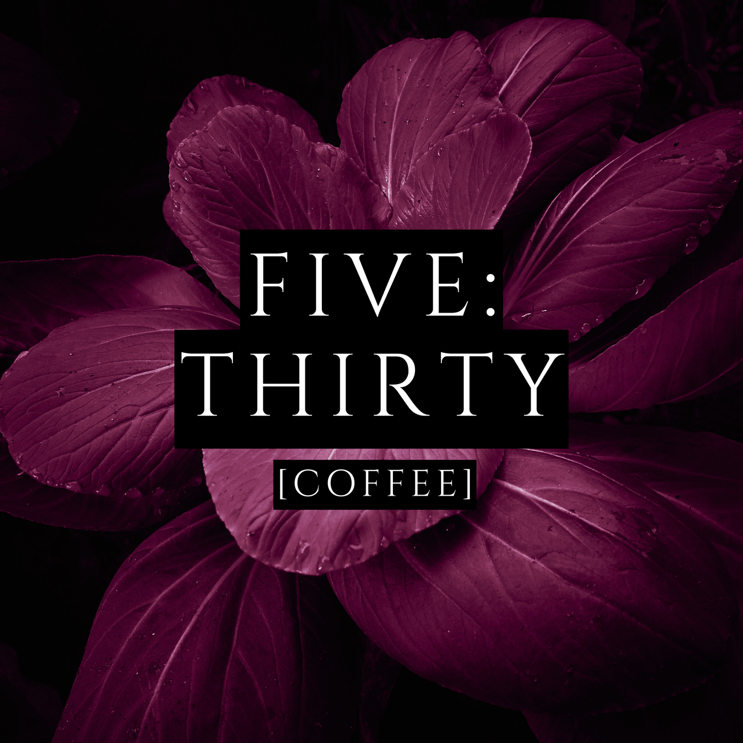 FIVE:THIRTY [Body Lotion] - Coffee