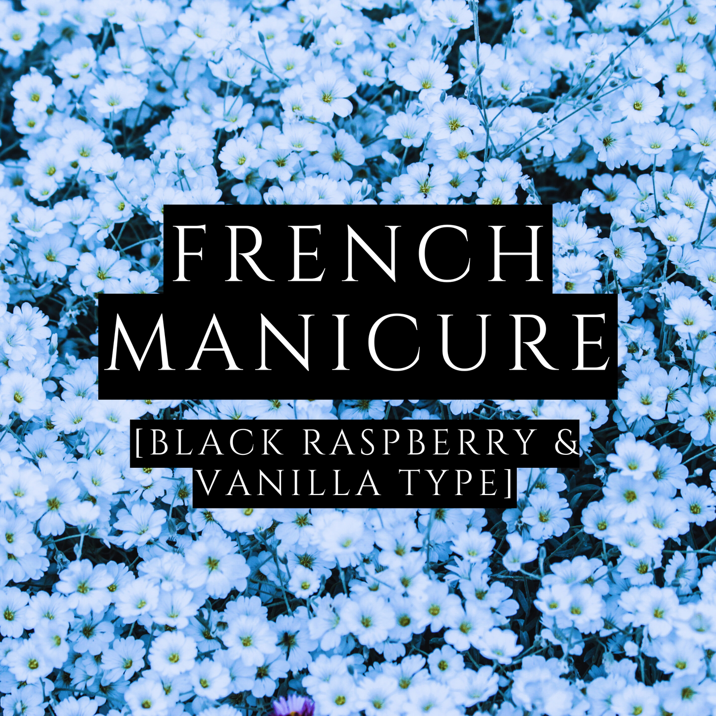 FRENCH MANICURE [Body Oil] - Black Raspberry & Vanilla Type