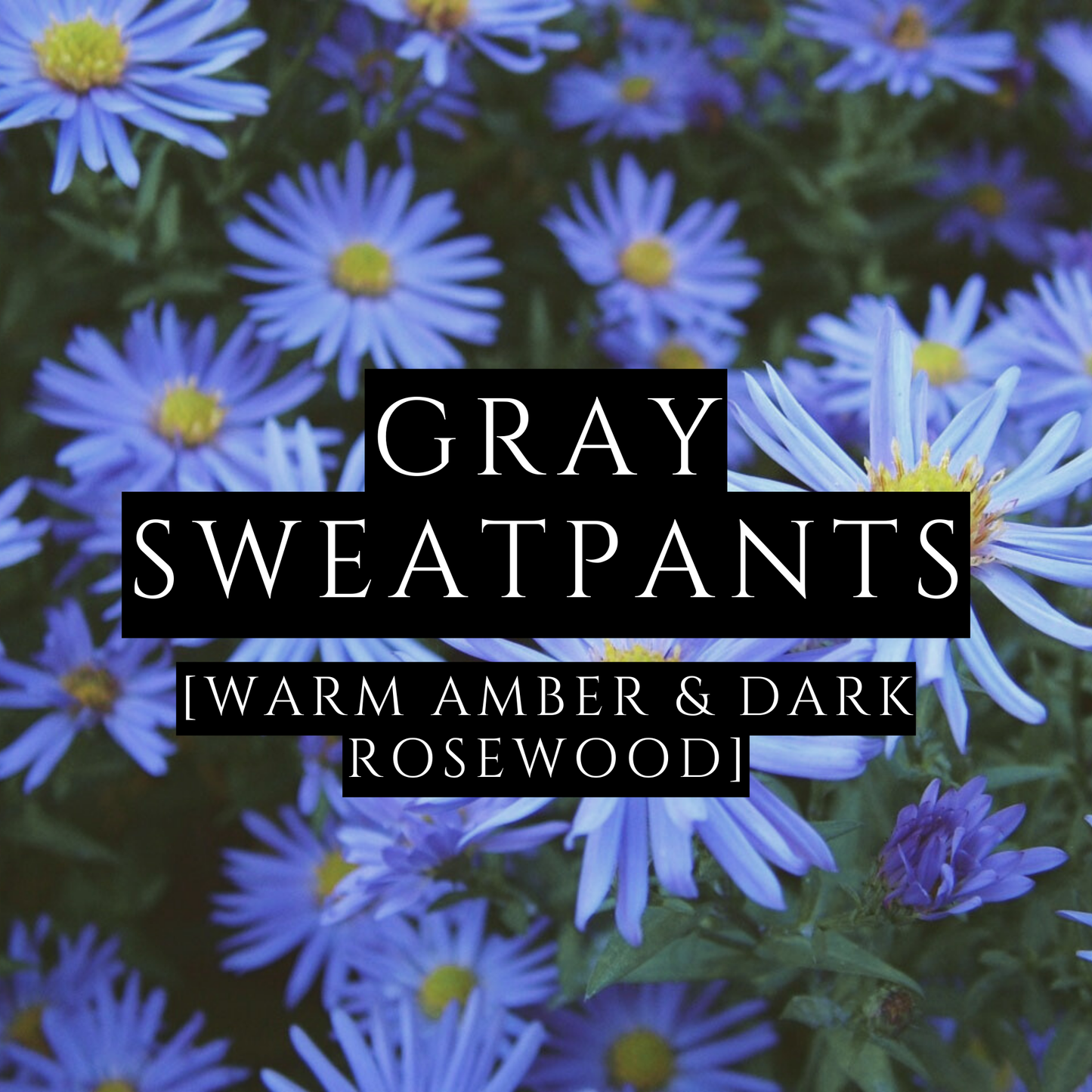 GRAY SWEATPANTS [Body Lotion] - Warm Amber & Dark Rosewood