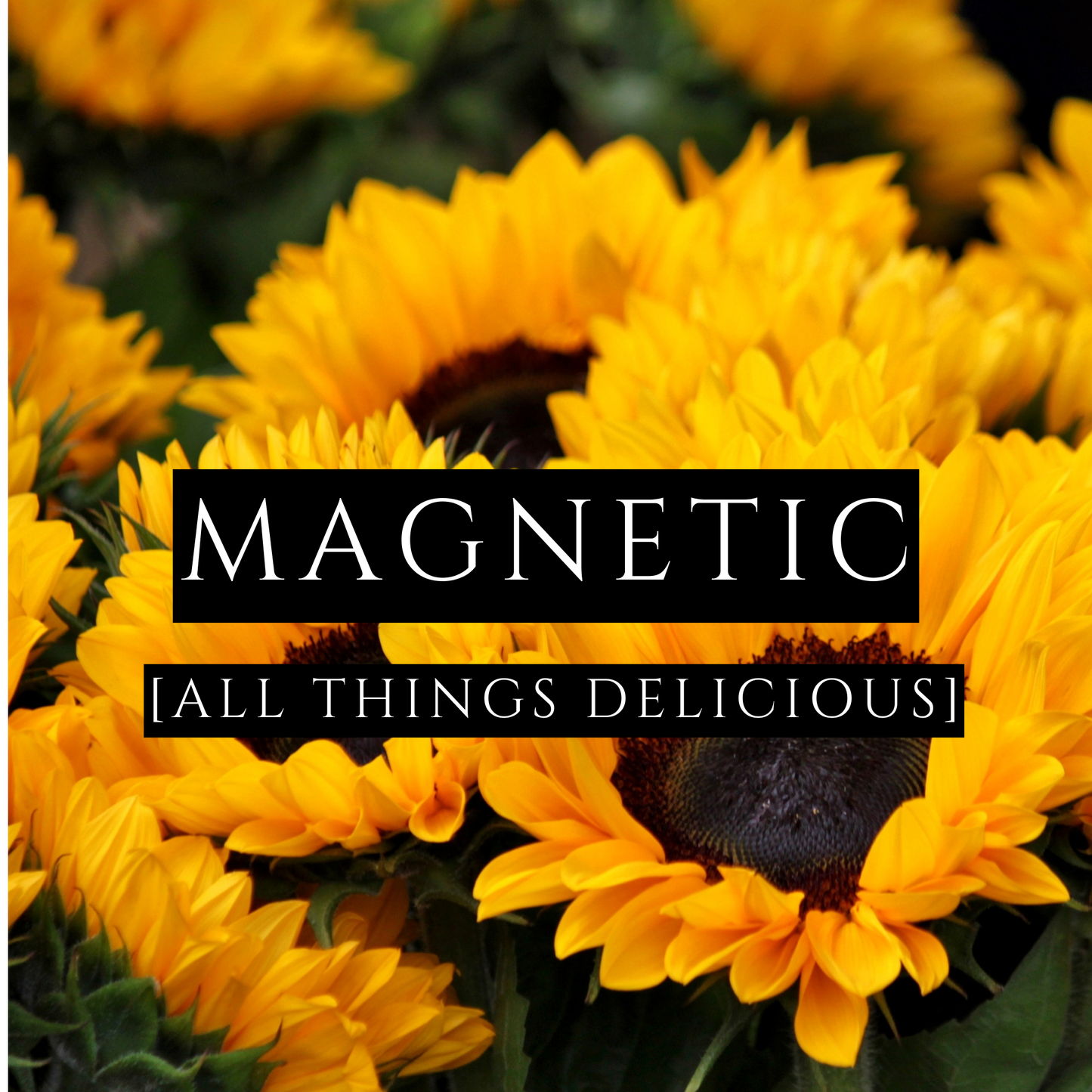 MAGNETIC [Body Oil] - All Things Delicious