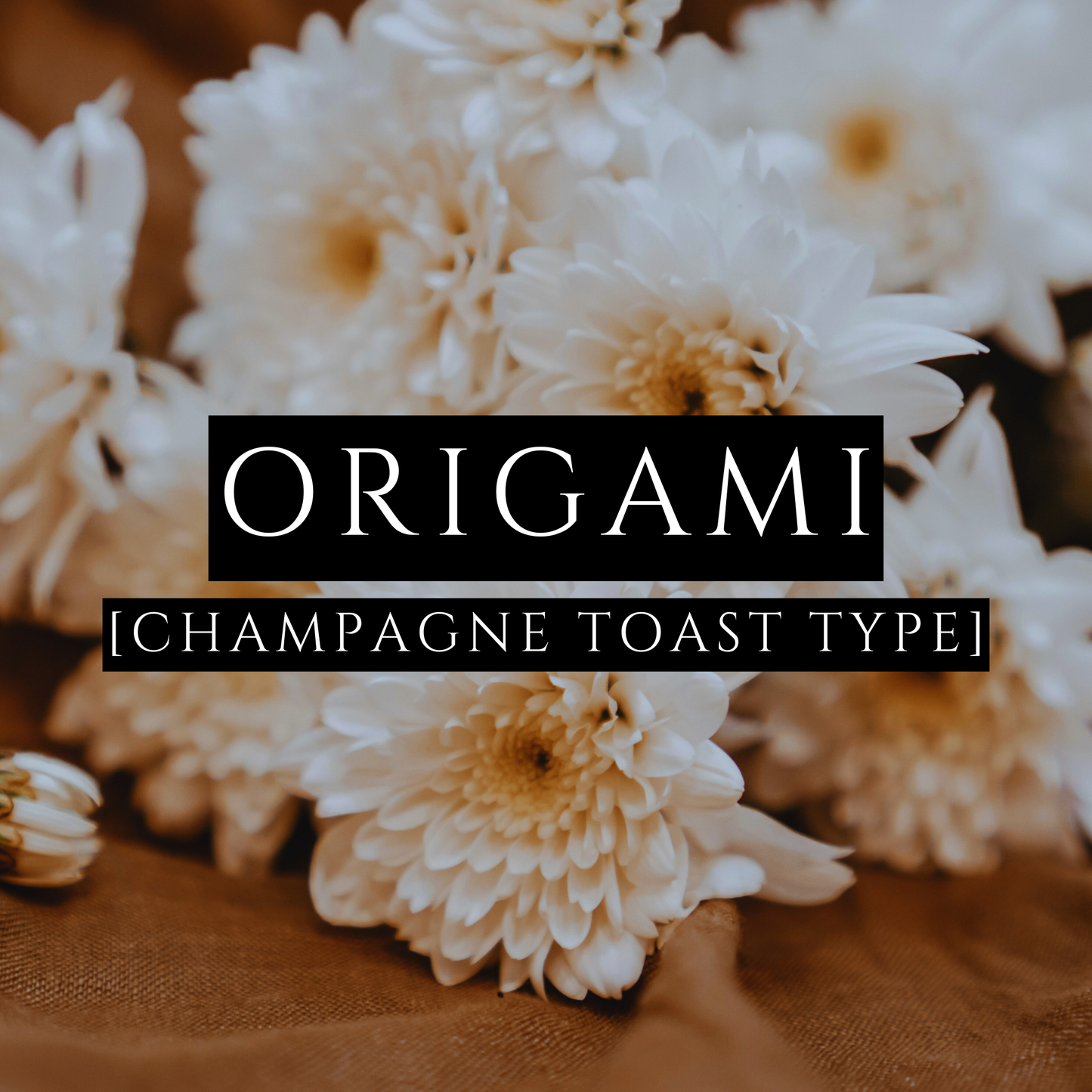 ORIGAMI [Body Lotion] - Champagne Toast Type