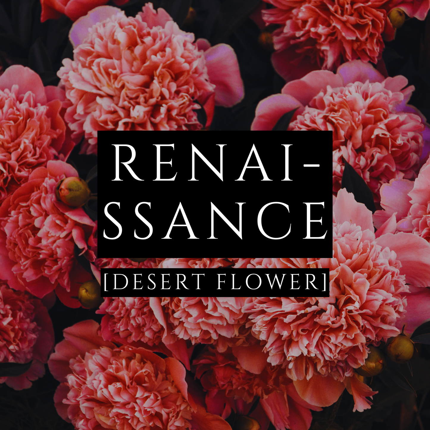 RENAISSANCE [Body Lotion] - Desert Flower