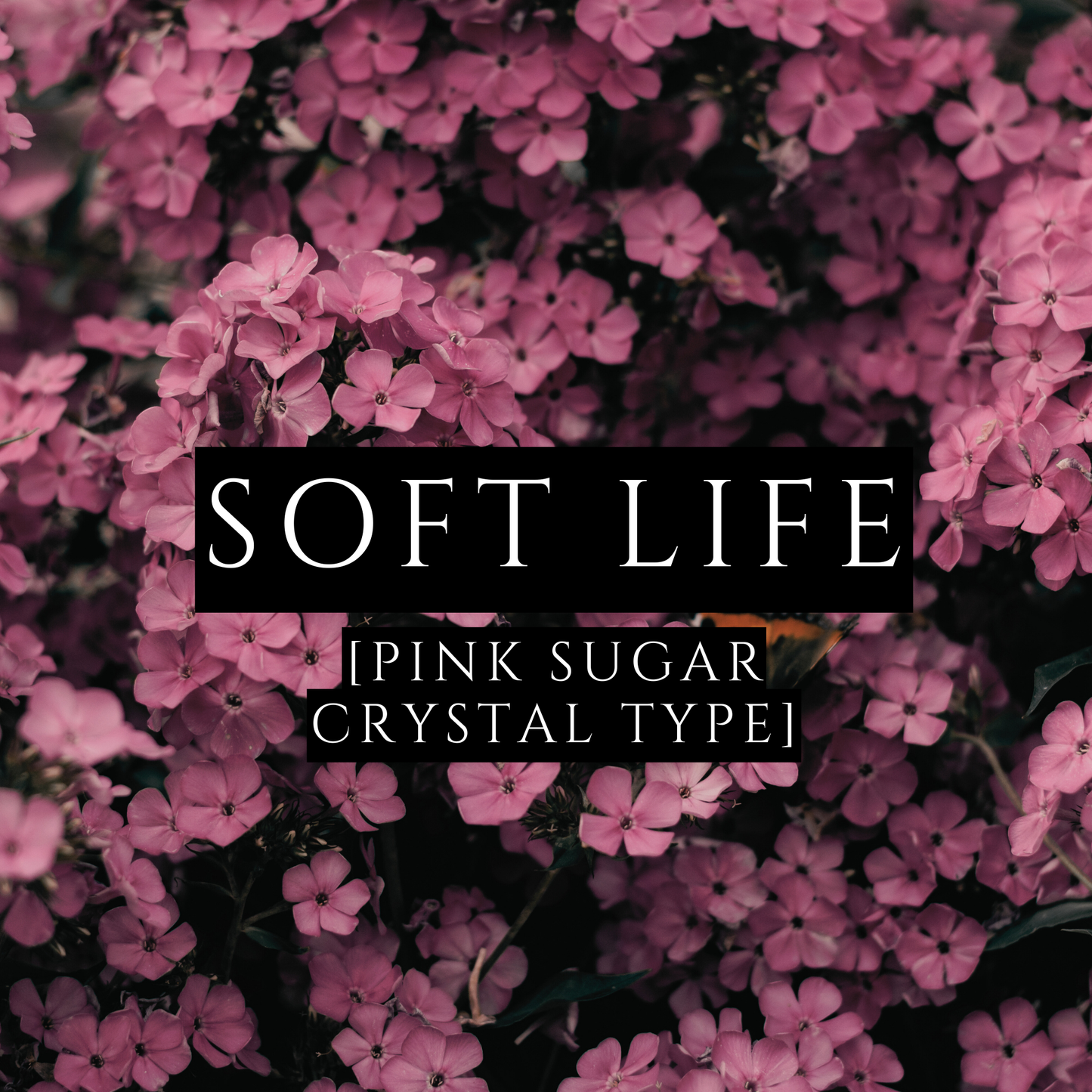 SOFT LIFE [Body Lotion] - Pink Sugar Crystal Type