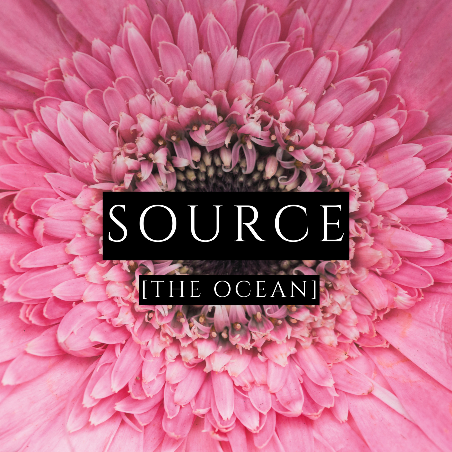 SOURCE [Body Lotion] - The Ocean