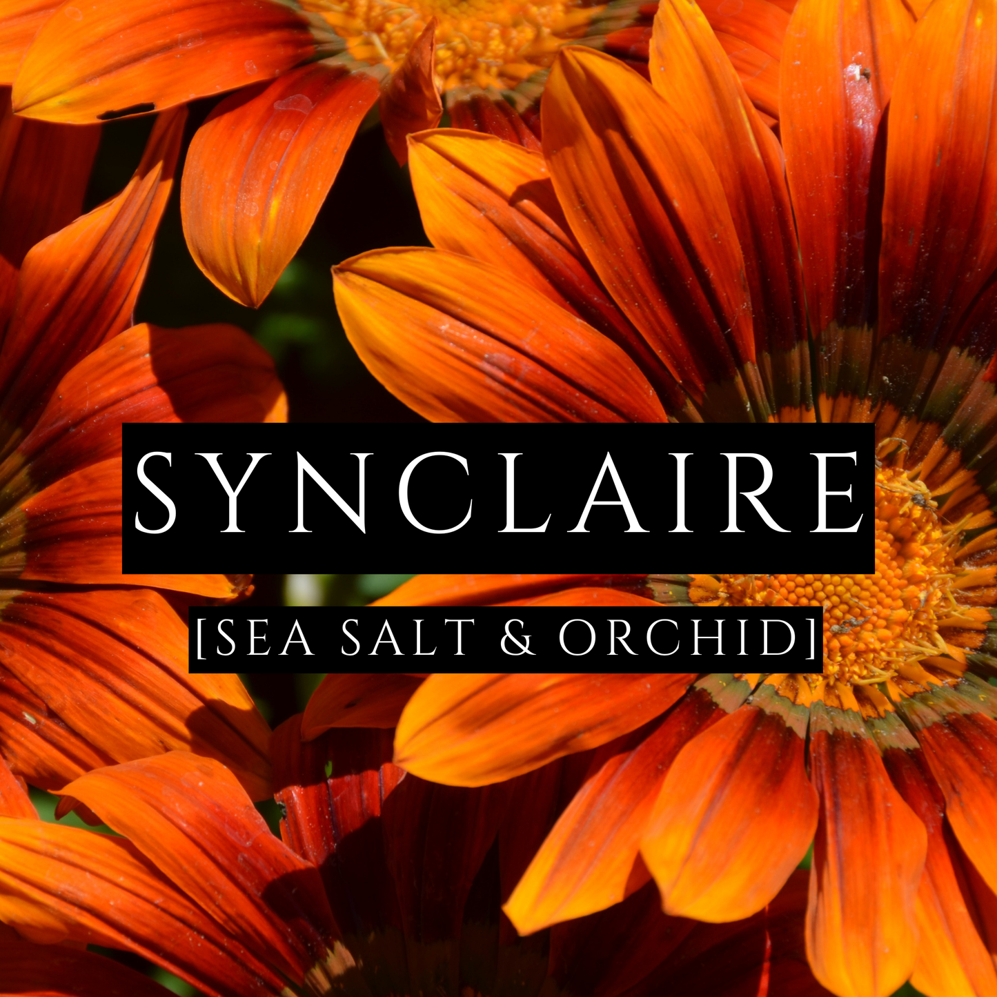 SYNCLAIRE [Body Oil] - Sea Salt & Orchid